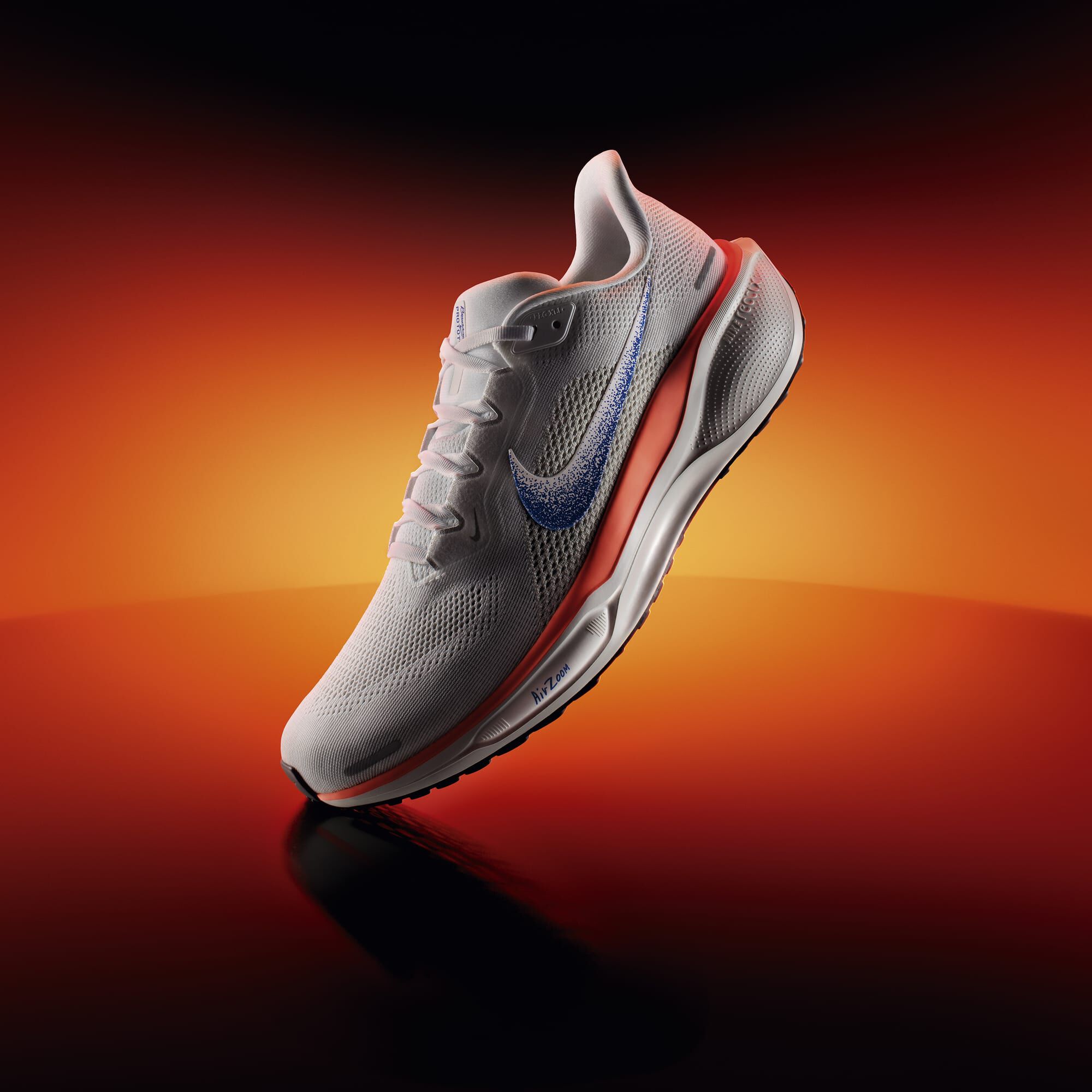 Nike Pegasus 41 Blueprint