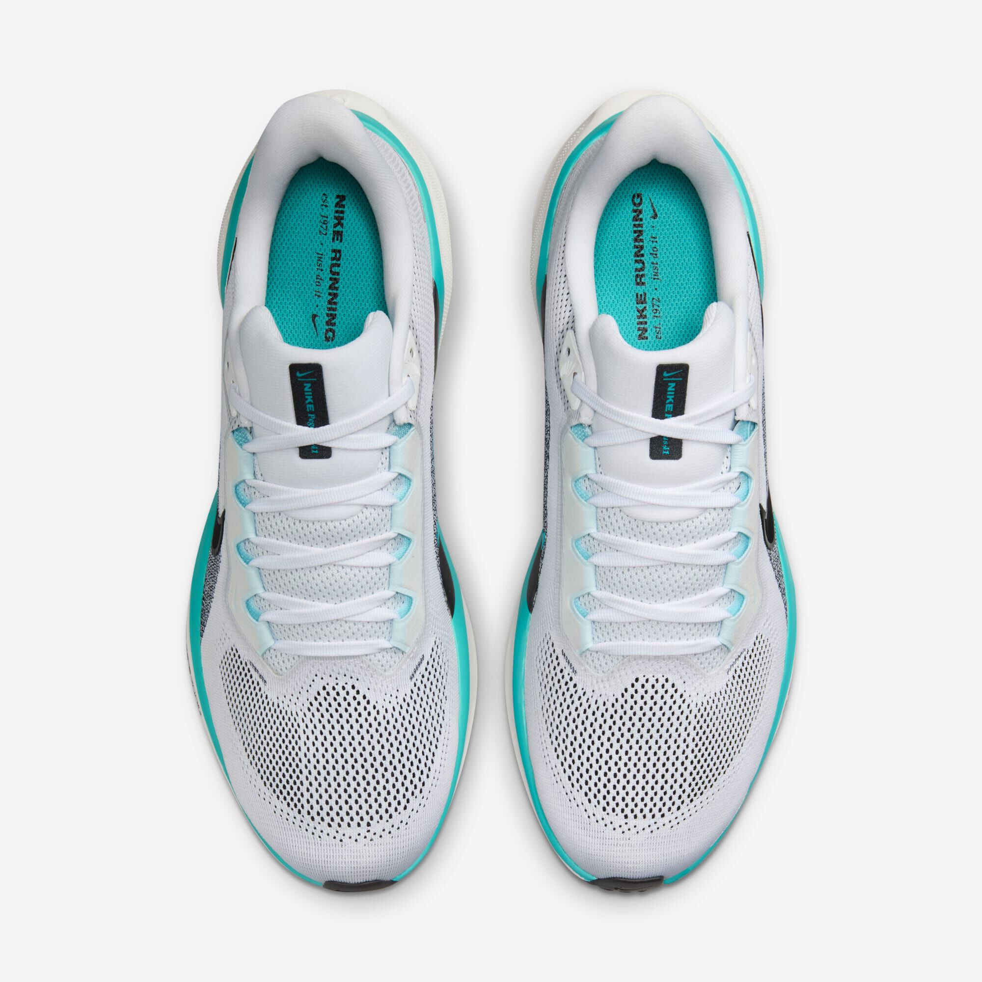 Nike Pegasus 41, Blanco/Cactus empolvado/Azul glacial/Negro, hi-res